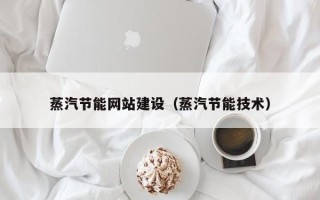 阿克苏蒸汽节能网站建设（蒸汽节能技术）